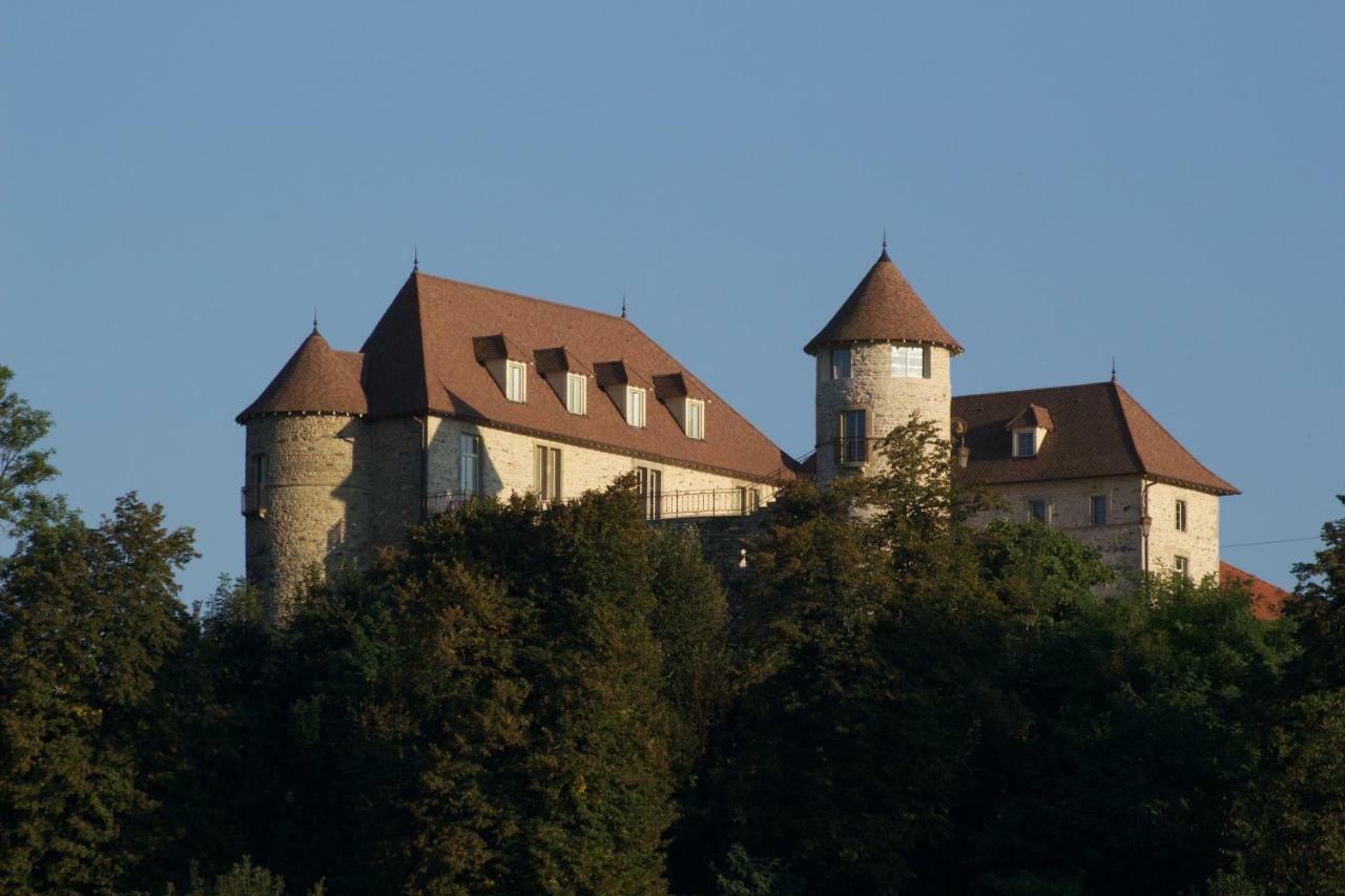 La Tour De Quinsonnas Serezin-de-la-Tour Exterior foto