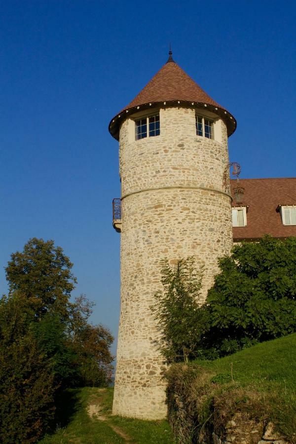 La Tour De Quinsonnas Serezin-de-la-Tour Exterior foto